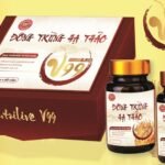 Viên uống Đông trùng hạ thảo – Linh chi – Tỏi đen – Nhung hươu