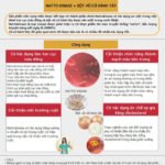 Thực phẩm phòng đột quỵ Nattokinase Premium-nhật bản