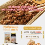 Thực phẩm phòng đột quỵ Nattokinase Premium-nhật bản