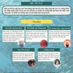 Thực phẩm tốt cho não Omega 3 soft capsule-nhật bản