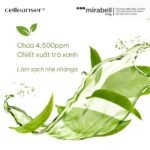 Sữa rửa mặt trà xanh-hàn quốc