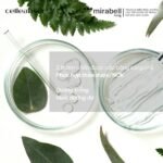 Kem dưỡng da Celleanser Retinolift Cream-hàn quốc