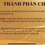 Combo Lựu đỏ rạng rỡ tái tạo da-hàn quốc