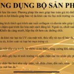 Combo Lựu đỏ rạng rỡ tái tạo da-hàn quốc