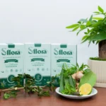 Thực phẩm tốt cho dạ dày Nước kiềm thảo mộc Sflora