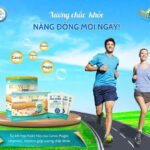 Sữa hạt dinh dưỡng Sen Vàng Premium EIG6 Green+ Lon 900g