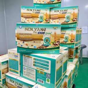 Combo 12 hộp Sữa hạt dinh dưỡng Sen Vàng Premium EIG6 Green+Hộp giấy 600g